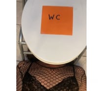 véritable toilette humaine