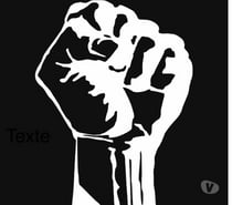 Pour ours poilu pass