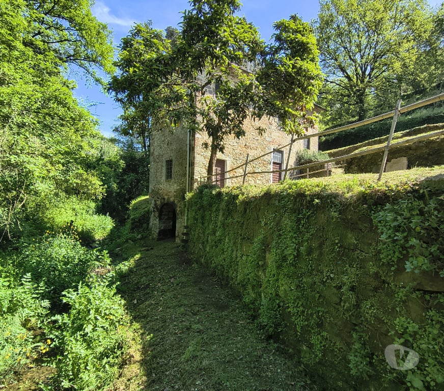 Annonce maison Italie - Photos Vivastreet Ancien Moulin du 18ème Vinci (Toscane) 215k