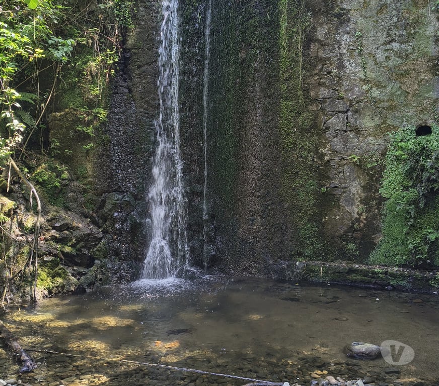 Annonce maison Italie - Photos Vivastreet Ancien Moulin du 18ème Vinci (Toscane) 215k