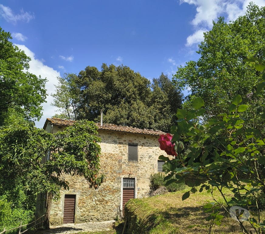 Annonce maison Italie - Photos Vivastreet Ancien Moulin du 18ème Vinci (Toscane) 215k
