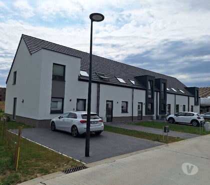 colocation Ath-Centrum Ath - Photos Vivastreet Kot colocation Ath
