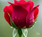 Recherche femme pour vie a deux
