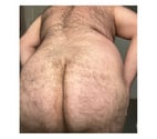 Bear passif ch H Mature Actif pour moment chaud sans blabla