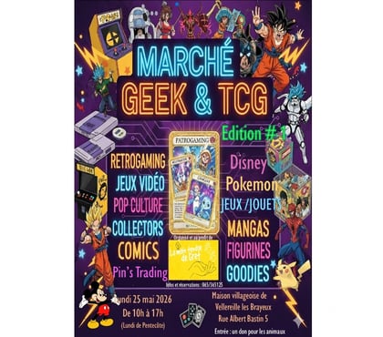 Autres sorties - Photos Vivastreet Marché Geek et TCG