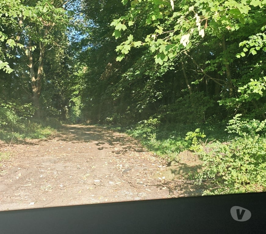 Gay Liège Liège-Centrum - Photos Vivastreet Lope trav en balade en forêt ce 21 05