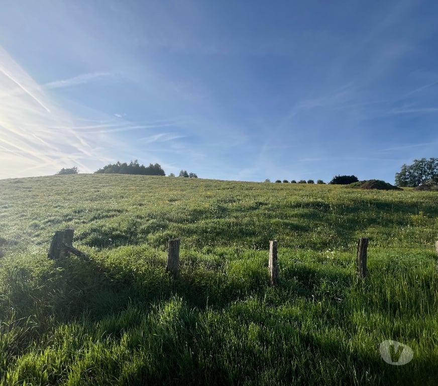 Terrains à vendre Bertrix - Photos Vivastreet Terrain à bâtir à vendre