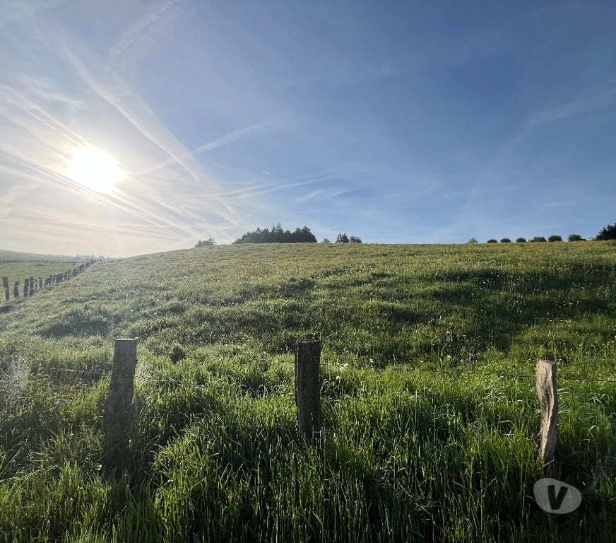 Terrains à vendre Bertrix - Photos Vivastreet Terrain à bâtir à vendre