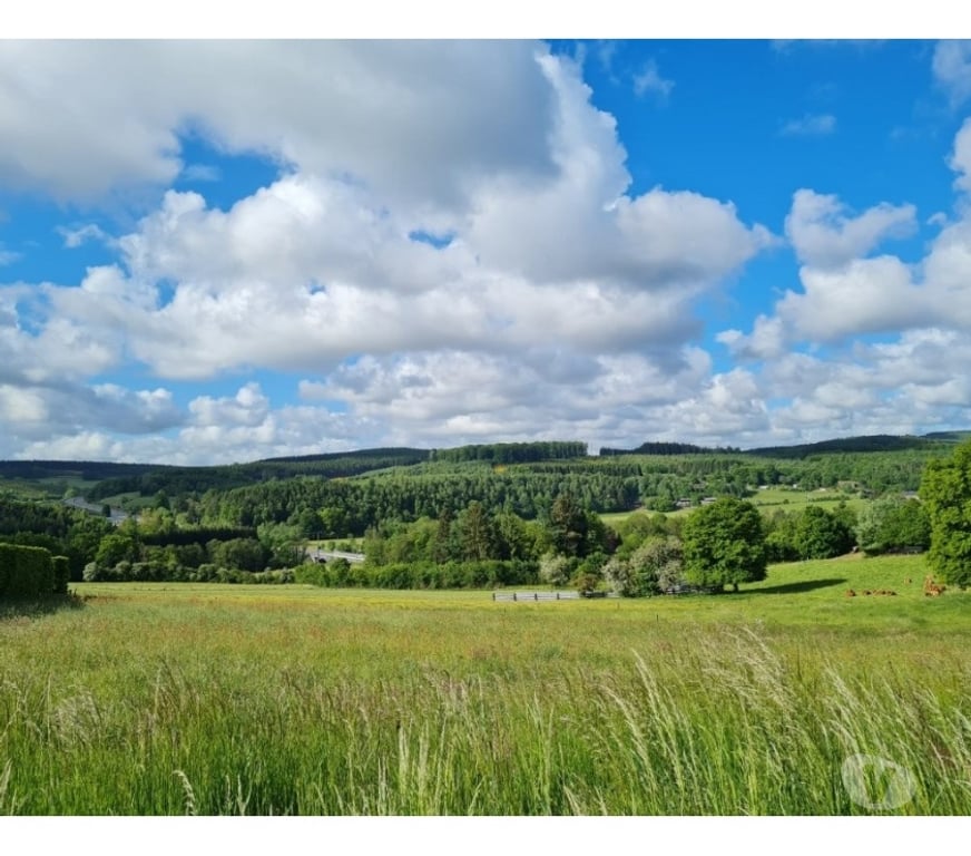 Terrains à vendre Tenneville Laneuville-au-Bois - Photos Vivastreet Tenneville - Ourthe : terrain à batir, 14a 79ca.