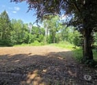  — Saint-Hubert : Terrain de 23a 87ca avec ruisseau.