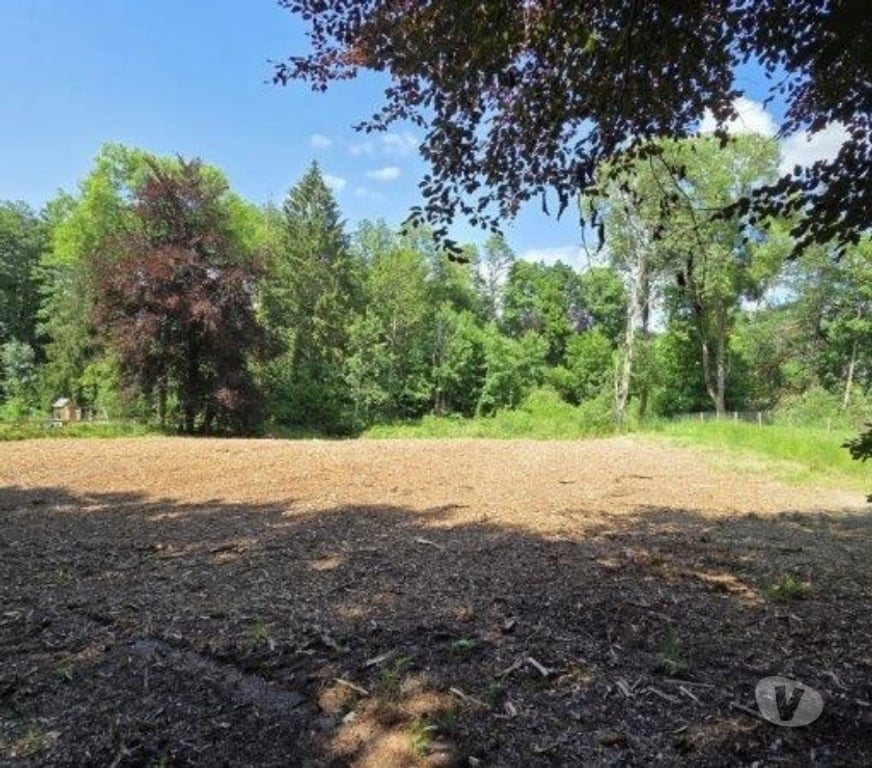Terrains à vendre Arville - Photos Vivastreet Saint-Hubert : Terrain de 23a 87ca avec ruisseau.