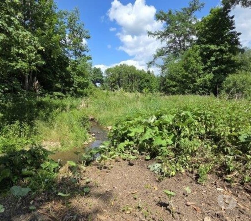 Terrains à vendre Arville - Photos Vivastreet Saint-Hubert : Terrain de 23a 87ca avec ruisseau.