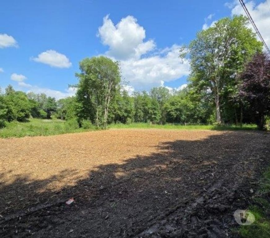 Terrains à vendre Arville - Photos Vivastreet Saint-Hubert : Terrain de 23a 87ca avec ruisseau.