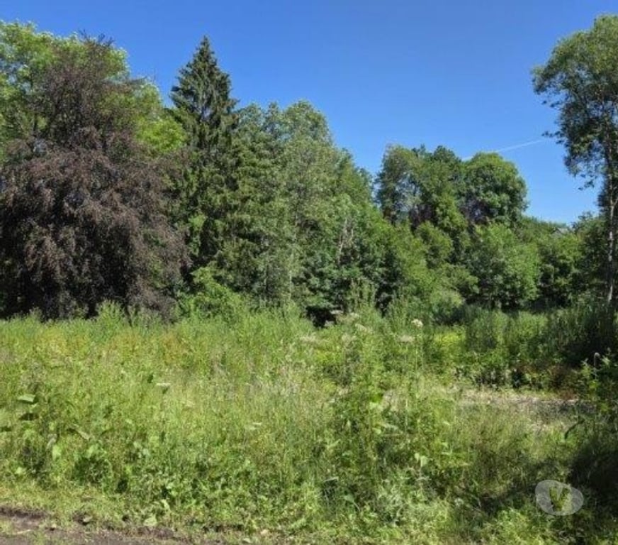 Terrains à vendre Arville - Photos Vivastreet Saint-Hubert : Terrain de 23a 87ca avec ruisseau.