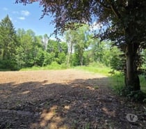 Photos Vivastreet Saint-Hubert : Terrain de 23a 87ca avec ruisseau.