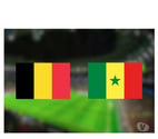 Schaerbeek - Bruxelles-Capitale — Belgique-Sénégal à la TV, TOI TOUT NU sur mon canapé !