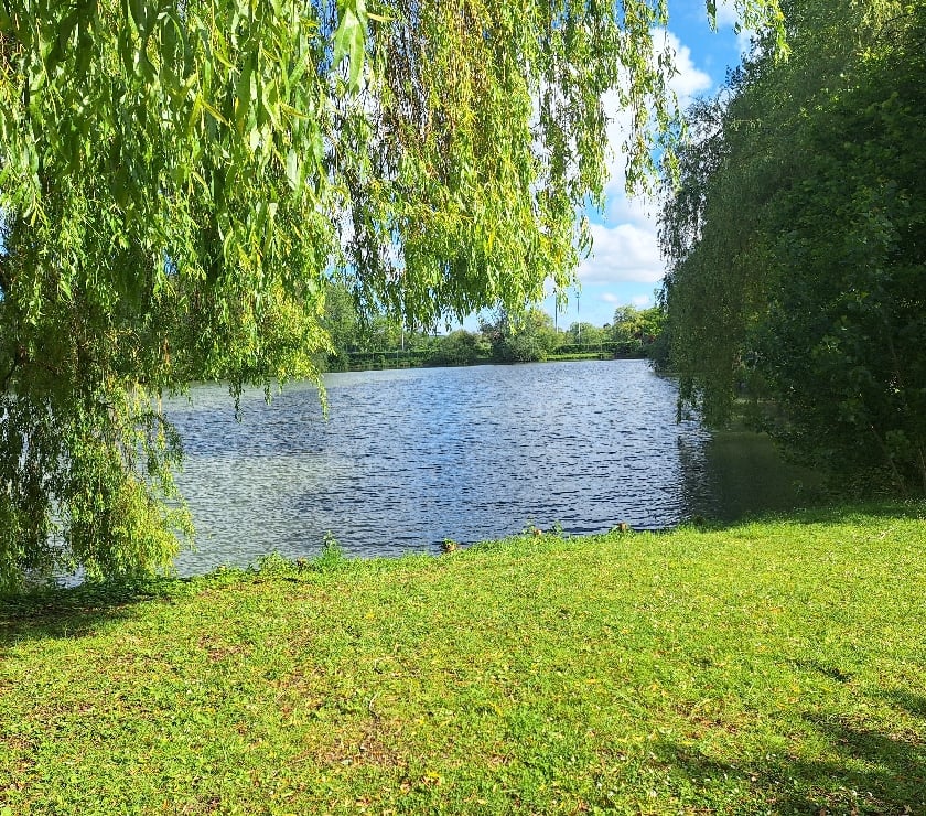 Dinant - Dinant — Plan nature région Dinant cette après-midi