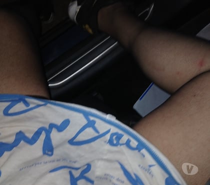 Rencontre gay Awans-Centrum Awans - Photos Vivastreet Laquelle voulez-vous soulever cette nuit