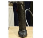 Charleroi - Charleroi — Salope soumise a dildo 27x6.5cm