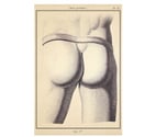 Schaerbeek - Bruxelles-Capitale — Cherche petit cul et fesses à bouffer lécher (max 26 a)