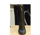 Bruxelles - Bruxelles (Brussels) — Cul soumis démonter par dildo 27x6.5cm