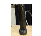 Liège - Liège — Cul salope soumis démonter par dildo 27x6.5cm