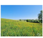 Bouillon - Bouillon — Semois - Les Hayons : beau terrain de 1Ha 44a 66ca.