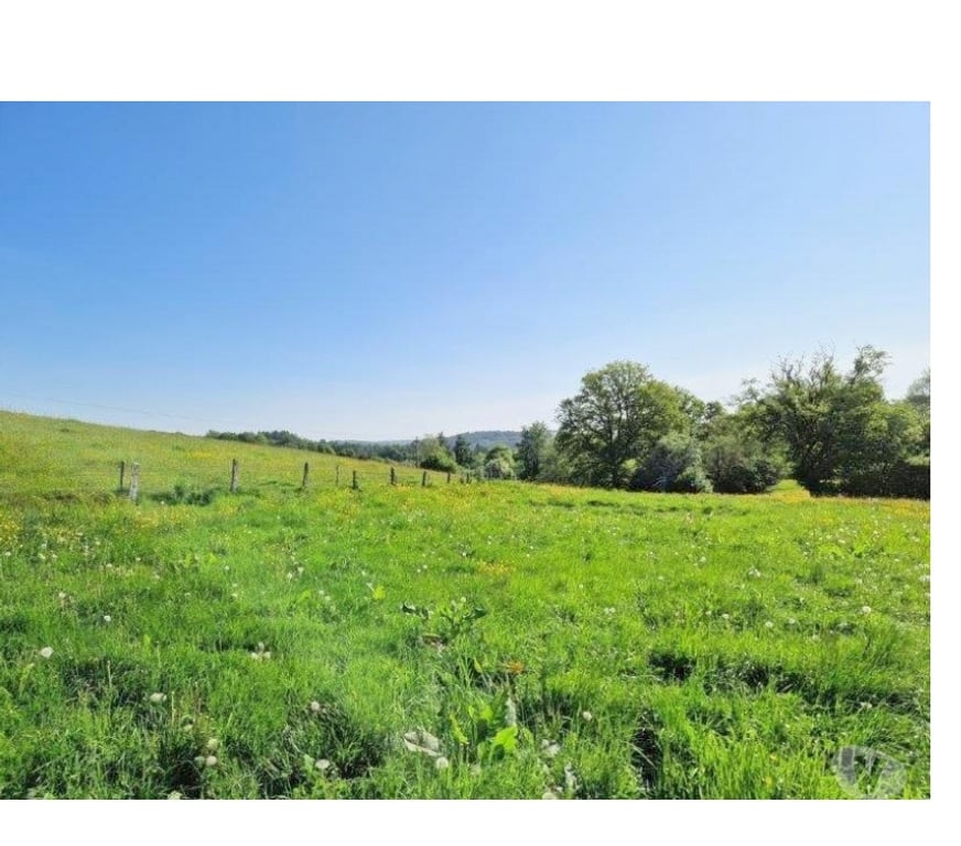 Terrains à vendre Bouillon Bouillon-Centrum - Photos Vivastreet Semois - Les Hayons : beau terrain de 1Ha 44a 66ca.