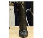 Bruxelles - Bruxelles (Brussels) — Ptit cul salope démonter par dildo 27x6.5cm en cam
