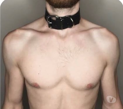 Gay Liège-Centrum Liège - Photos Vivastreet Bear actif uniquement