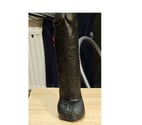 Charleroi - Charleroi — Cam ptit cul soumis démonter par dildo 27x6.5cm