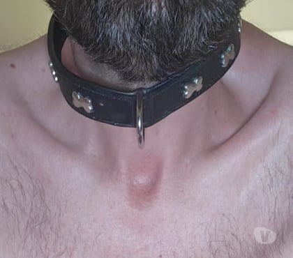 Gay Cuesmes Mons - Photos Vivastreet Cherche homme très très dominant pour plan sans tabou