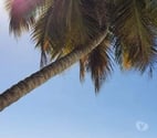 Tournai - Tournai — QUI EST CHAUD POUR PLAN MASSAGE ET SUCE SEMAINE PROCHAINE ?
