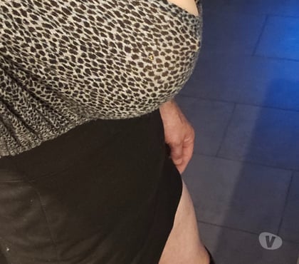 Gay Falaën Onhaye - Photos Vivastreet Chienne à baisers