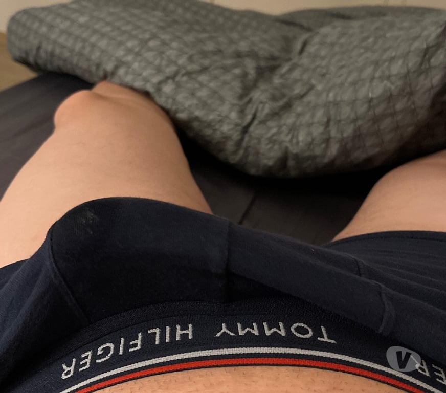 exhib Meulebeke - Photos Vivastreet H pour Cpl ou femme