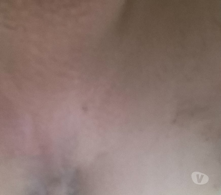 Gay Mons Ciply - Photos Vivastreet Recherche sexe matinée