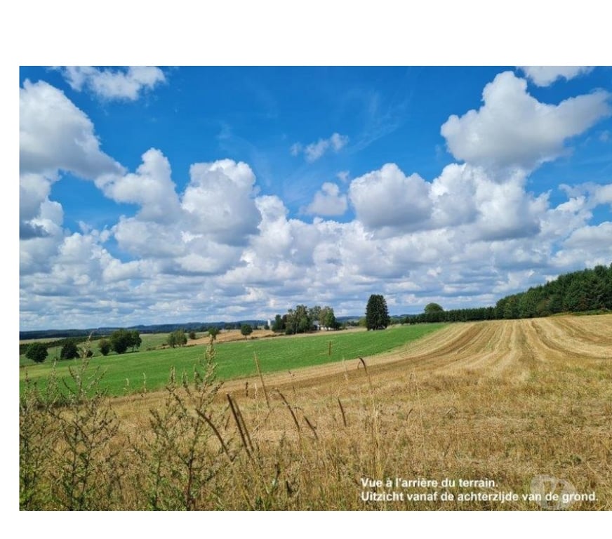 Terrains à vendre Neufchâteau - Photos Vivastreet Warmifontaine : grand terrain de +- 80 ares, belle situation