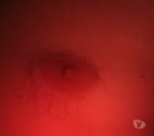 Couillet - Charleroi — Je suis soumis j ai 47 ans et je veux du sexe
