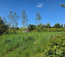 Photos Vivastreet LORCY : Beau terrain avec ruisseau.