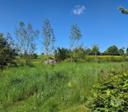 Terrains - Photos Vivastreet LORCY : Beau terrain avec ruisseau.