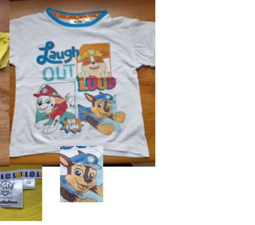 Vêtements bébés Tournai Tournai-Centrum - Photos Vivastreet Lot 2 Tee-shirts MC Taille 4ans Nickolodeon Paw Patrol