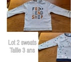 Lot 2 Sweats imprimés garçon Taille 3 ans Obaïbi