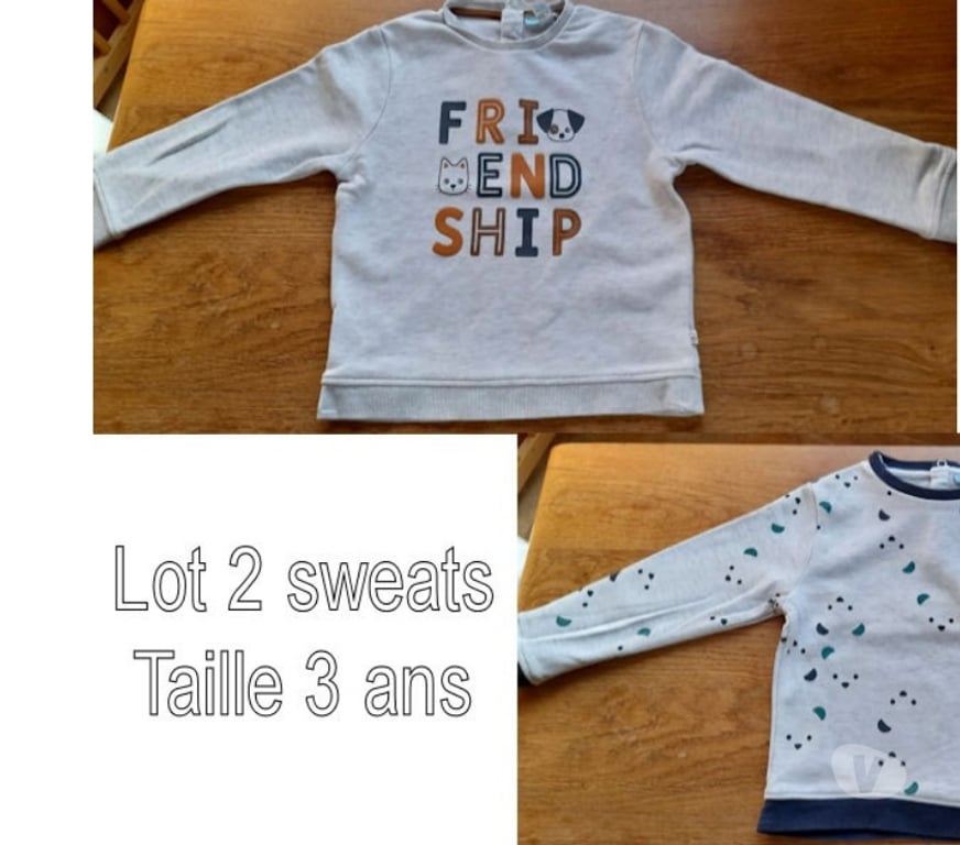Vêtements bébés Tournai Tournai-Centrum - Photos Vivastreet Lot 2 Sweats imprimés garçon Taille 3 ans Obaïbi