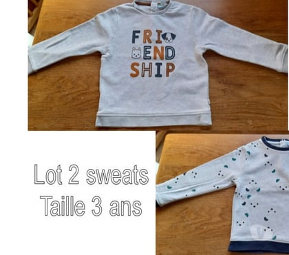Vêtements bébés Tournai-Centrum Tournai - Photos Vivastreet Lot 2 Sweats imprimés garçon Taille 3 ans Obaïbi