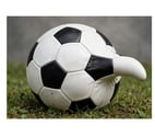 Schaerbeek - Bruxelles-Capitale — Ce soir, FOOT ou PIPE ? ou les deux ?