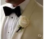 Huy - Province de Liège — Entre mecs gay bi hetero curieux