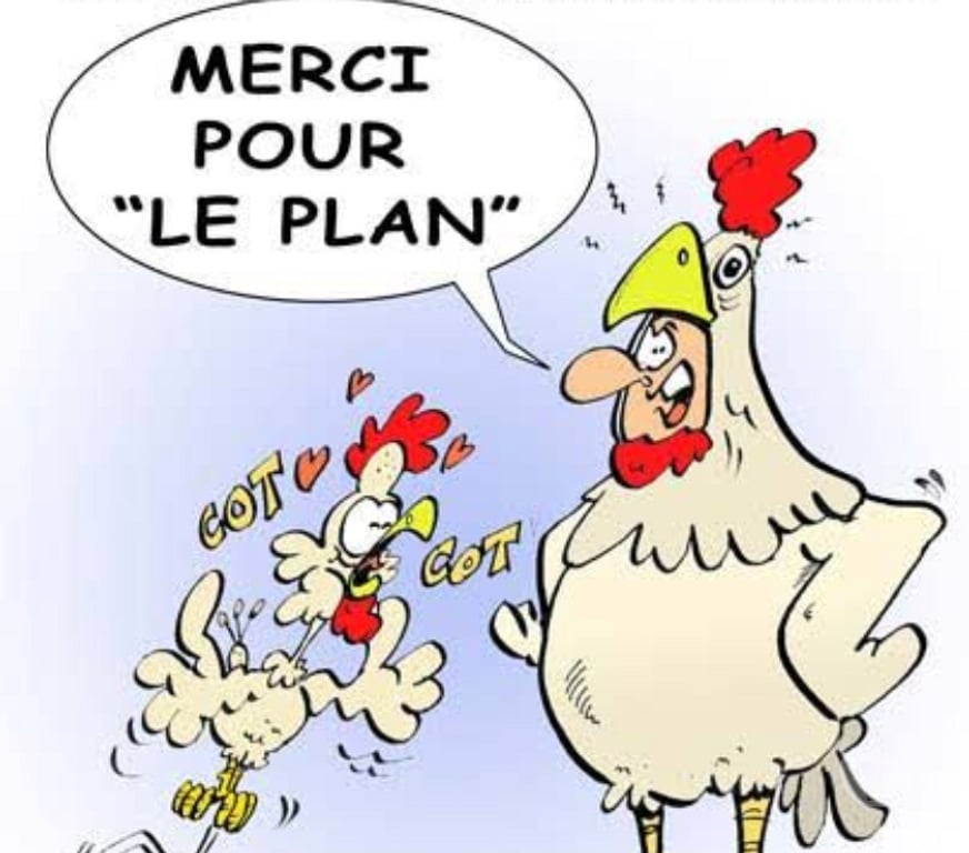 Gay Hamois Achet - Photos Vivastreet Envie de vous satisfaire, Ohey, Hamois, Havelange...