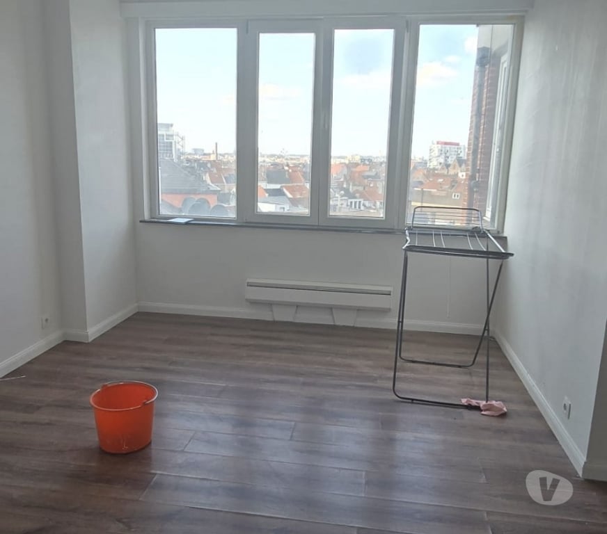 Appartement a vendre Bruxelles (Brussels) Bruxelles-Centrum - Photos Vivastreet Studio à vendre – 1000 Bruxelles - 105000 €