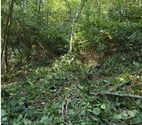 Lasne - Wallon Brabant — Terrain constructible à vendre 399000