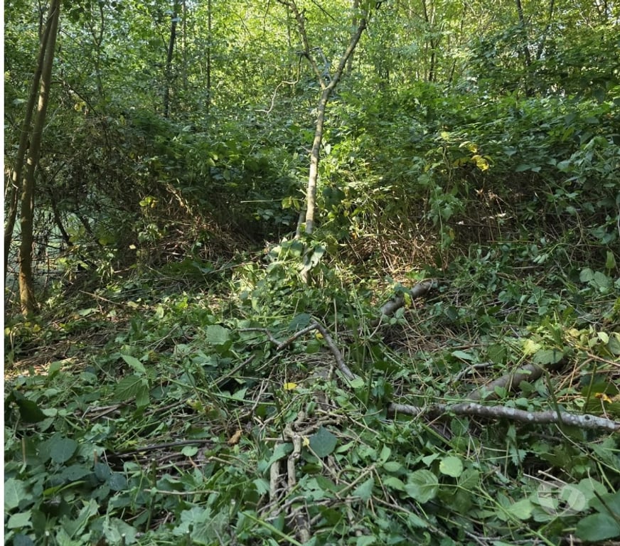 Terrains à vendre Lasne - Photos Vivastreet Terrain constructible à vendre 399000